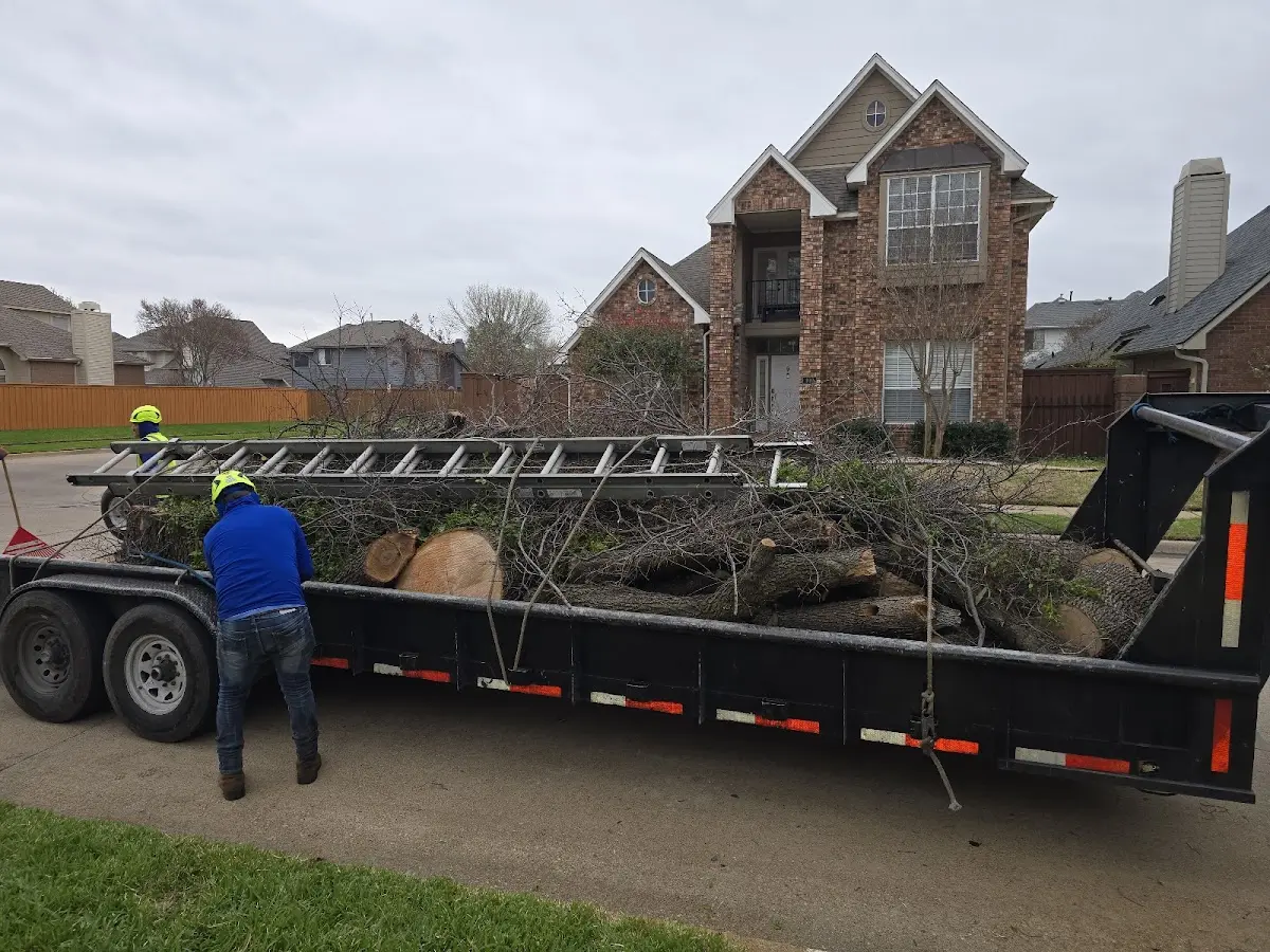 Expert Tree Pest Control with proper safety equipment in Lake Monroe